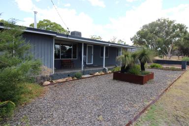 House For Sale - WA - Wagin - 6315 - Charming Family Home on Expansive 2024 sqm Block  (Image 2)