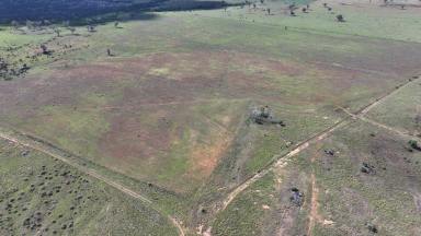 Mixed Farming For Sale - NSW - Gravesend - 2401 - Part Nundah, Gravesend  (Image 2)