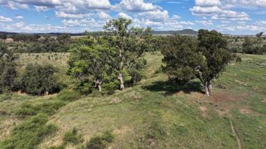 Mixed Farming For Sale - NSW - Gravesend - 2401 - Part "Nundah", Gravesend 2401  (Image 2)