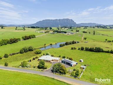 House For Sale - TAS - Sheffield - 7306 - Idyllic Small Acreage on the Edge of Town  (Image 2)