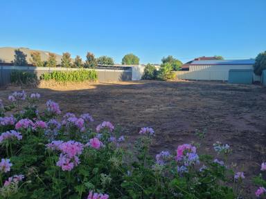 Residential Block For Sale - VIC - Swan Hill - 3585 - Superb building allotment  (Image 2)