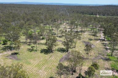 Residential Block For Sale - QLD - Glen Cairn - 4342 - Just over 100 Acres of Vacant Land  (Image 2)