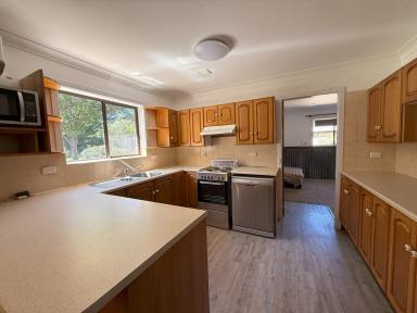 House For Lease - NSW - Cooma - 2630 - Family Home  (Image 2)