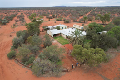 Other (Rural) For Sale - WA - Meekatharra - 6642 - POLELLE STATION, MEEKATHARRA  (Image 2)