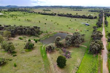 Other (Rural) For Sale - QLD - Dululu - 4702 - First Class Country with Excellent Improvements & Location  (Image 2)