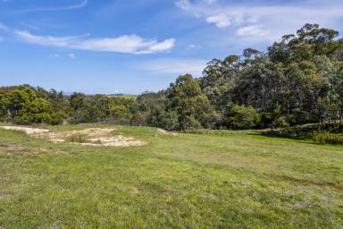 Residential Block For Sale - TAS - Forcett - 7173 - Prime Rural Living  (Image 2)