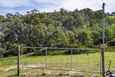 Residential Block For Sale - TAS - Forcett - 7173 - Prime Rural Living  (Image 2)