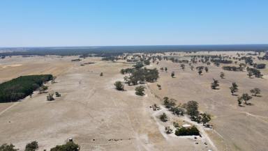 Mixed Farming Auction - SA - Custon - 5269 - 505 Bangham Road Custon.  (Image 2)