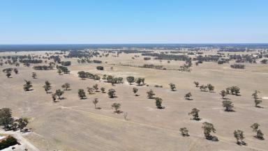 Mixed Farming Auction - SA - Custon - 5269 - 505 Bangham Road Custon.  (Image 2)