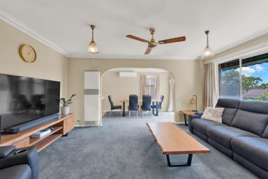 House For Sale - VIC - Burwood East - 3151 - Exceptional Dual-Dwelling Opportunity in MWSC Zone Buy One or Both!  (Image 2)