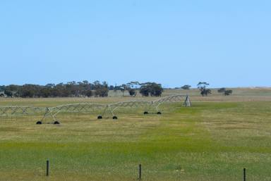 Mixed Farming For Sale - SA - Senior - 5268 - Value for Money, Potential Galore, Well Positioned Graze, Irrigation + Crop  (Image 2)