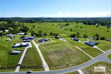 Residential Block For Sale - QLD - Chatsworth - 4570 - CHATSWORTH PREMIER ESTATE - 1 acre - Superb VIEWS!  (Image 2)