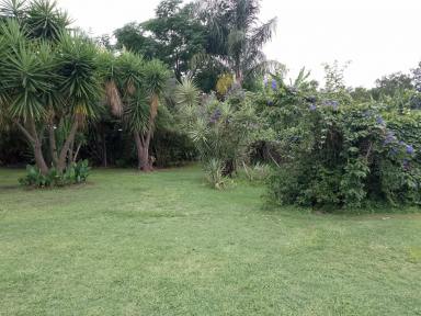 House For Sale - QLD - Moore - 4314 - House on double block with attached shop (Liquor Licence available & commercial kitchen)  (Image 2)