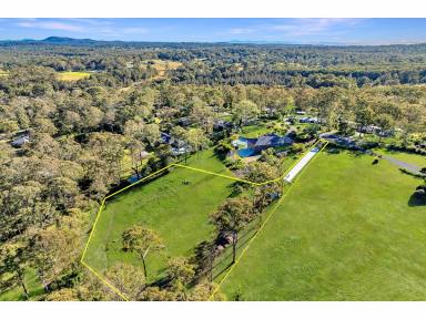 Residential Block For Sale - NSW - Hallidays Point - 2430 - 6206.7 SQM VACANT BLOCK OF LAND  (Image 2)