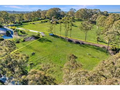 Residential Block For Sale - NSW - Hallidays Point - 2430 - 6206.7 SQM VACANT BLOCK OF LAND  (Image 2)