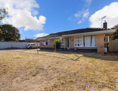 House Sold - WA - Kewdale - 6105 - EXCEPTIONAL RENT RETURN  (Image 2)