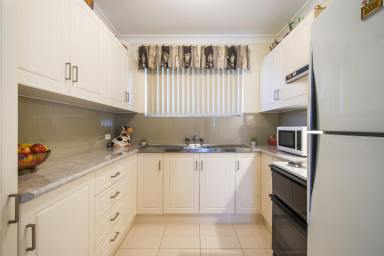 Unit For Lease - NSW - Grafton - 2460 - CHARMING UNIT CLOSE TO EVERYTHING  (Image 2)