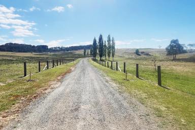 Lifestyle For Sale - NSW - Bungonia - 2580 - 650 ACRES, 3 BR HOME, PERMANENT CREEK, GRAZING COUNTRY, GREAT LOCATION, MACHINERY AND STORAGE SHEDS.  (Image 2)