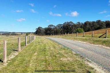 Lifestyle For Sale - NSW - Bungonia - 2580 - 650 ACRES, 3 BR HOME, PERMANENT CREEK, GRAZING COUNTRY, GREAT LOCATION, MACHINERY AND STORAGE SHEDS.  (Image 2)