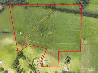 Lifestyle For Sale - NSW - Cundletown - 2430 - “Clover Downs”: Where Every Day Feels Like a Country Escape  (Image 2)