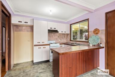 House For Lease - NSW - Russell Vale - 2517 - HOUSE + GRANNY FLAT!  (Image 2)