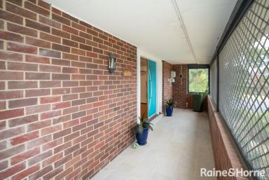 House For Lease - NSW - Kooringal - 2650 - Family-friendly 4 Bedroom Home // Pool maintenace included  (Image 2)