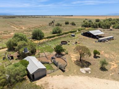 Cropping For Sale - VIC - Durham Ox - 3576 - "Hopefield" - 716 acres - Durham Ox  (Image 2)