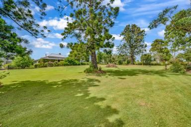 House Auction - NSW - Brookfield - 2420 - History and charm filled home  (Image 2)