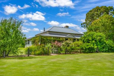 House Auction - NSW - Brookfield - 2420 - History and charm filled home  (Image 2)