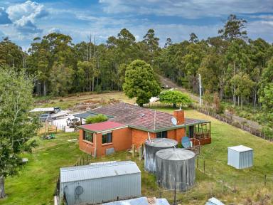 House For Sale - TAS - Parkham - 7304 - 4 Bedroom Home  (Image 2)