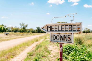 Livestock For Sale - QLD - Waikola - 4420 - INSTITUTIONAL SCALE CATTLE BACKGROUNDING & FINISHING OPPORTUNITY  (Image 2)