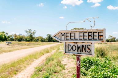 Livestock For Sale - QLD - Waikola - 4420 - INSTITUTIONAL SCALE CATTLE BACKGROUNDING & FINISHING OPPORTUNITY (Image 2)