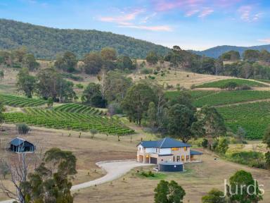 Lifestyle For Sale - NSW - Mount View - 2325 - Wine Country Perfection  (Image 2)