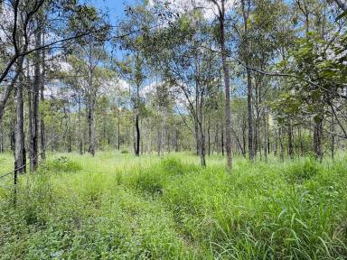 Livestock For Sale - QLD - North Aramara - 4620 - SECLUDED 349 ACRES IN THE WIDE BAY REGION  (Image 2)