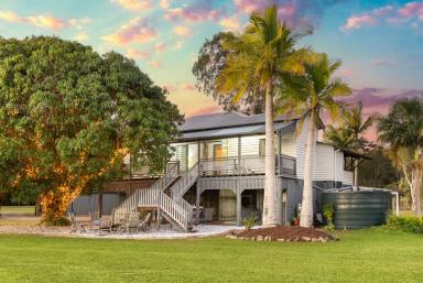 House For Lease - QLD - Doonan - 4562 - Enjoy Coastal Vibrancy with the Tranquility of Rural Living  (Image 2)