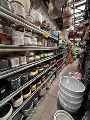 Business Sold - NSW - Newtown - 2042 - Inner City Garden Centre (Image 2)