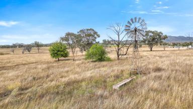 Lifestyle Auction - NSW - Tamworth - 2340 - ENTRY LEVEL ACREAGE OR PERFECT VALUE-ADD PROPOSITION  (Image 2)