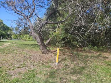 Residential Block For Sale - QLD - Forrest Beach - 4850 - 735 SQUARE METRE BEACH BLOCK!  (Image 2)