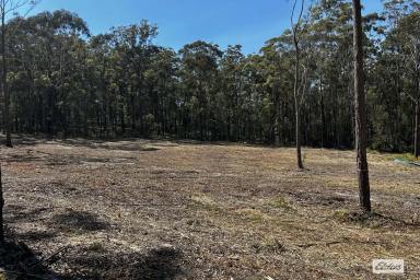 Residential Block For Sale - NSW - Wallagoot - 2550 - Privacy, Space and a Cleared Block Ready for Your Plans  (Image 2)