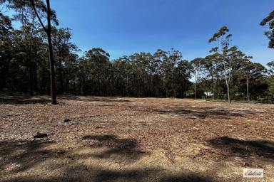 Residential Block For Sale - NSW - Wallagoot - 2550 - PRIVACY, SPACE & A CLEARED BLOCK - READY FOR YOUR PLANS  (Image 2)