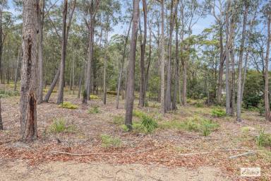 Residential Block For Sale - NSW - Wallagoot - 2550 - Your Private Slice of Nature – Build Your Dream Home  (Image 2)