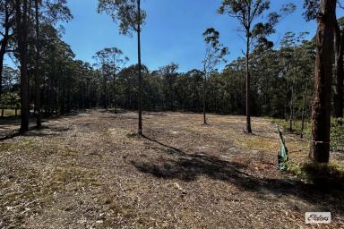 Residential Block For Sale - NSW - Wallagoot - 2550 - Privacy, Space and a Cleared Block Ready for Your Plans  (Image 2)