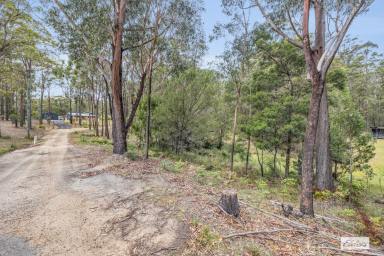 Residential Block For Sale - NSW - Wallagoot - 2550 - Your Private Slice of Nature – Build Your Dream Home  (Image 2)