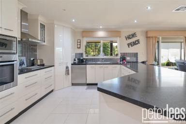 House For Sale - TAS - Westbury - 7303 - Tranquil, Stylish Living in the Heart of Westbury  (Image 2)