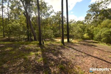 Residential Block For Sale - QLD - South Isis - 4660 - SO CLOSE YET SO FAR.  (Image 2)