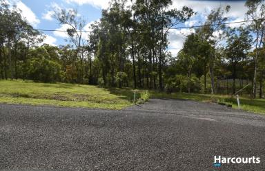 Residential Block For Sale - QLD - South Isis - 4660 - SO CLOSE YET SO FAR.  (Image 2)