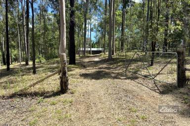 Residential Block For Sale - QLD - Glenwood - 4570 - MASSIVE 18x15m SHED!  (Image 2)