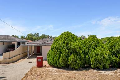 House Sold - WA - Redcliffe - 6104 - Introducing 38 Smiths Avenue, Redcliffe  (Image 2)