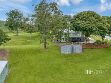 House For Sale - QLD - Dayboro - 4521 - Perfect Country Lifestyle  (Image 2)