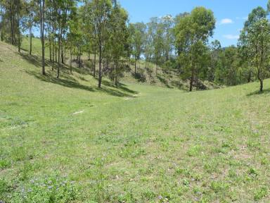 Lifestyle Sold - NSW - Rocky River - 2372 - AS FRESH AS A DAISY  (Image 2)